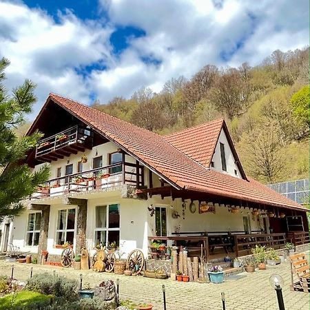 Pensiunea Piatra-Craiului Zărneşti Exterior foto